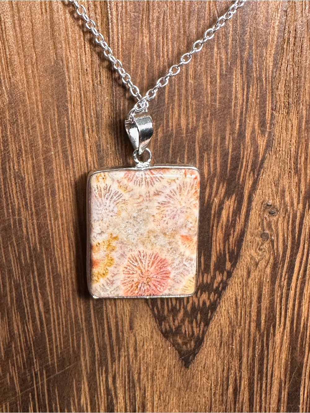 Coral Fossil Pendant Necklace on Silver Plated Box Chain - Picture 15 of 16